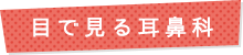 目で見る耳鼻科